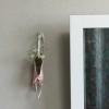 壁掛け仏壇「鏡壇ミラリエ」に、今日の誕生花のデージーを飾ってみました。