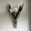 ホワイトジンシャーの花を 壁掛け仏壇「鏡壇ミラリエ」に飾りました。