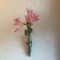 壁掛け仏壇「鏡壇ミラリエ」に今日（9/30）の誕生花のリコリスの花を飾ってみました。