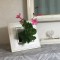 壁掛け仏壇「鏡壇ミラリエ」に今日（9/24）の誕生花の「ディプラデニア（サンパラソル）」の鉢植えを飾ってみました。