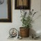 壁掛け仏壇「鏡壇ミラリエ」に 「アメジストセージ」の鉢植えを 飾ってみました。