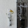 壁掛け仏壇「鏡壇ミラリエ」に今日（11/12）「シロタエギク」の花を飾ってみました。