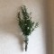 壁掛け仏壇「鏡壇ミラリエ」に今日（11/23）の誕生花の「クジャクソウ（孔雀草）」を飾ってみました。
