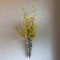 壁掛け仏壇「鏡壇ミラリエ」に今日（11/4）の誕生花のオンジュームを飾ってみました。