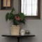 壁掛け仏壇「鏡壇ミラリエ」に 「キダチベゴニア」の鉢植えを 飾ってみました。
