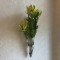 壁掛け仏壇「鏡壇ミラリエ」に今日（12/12）の誕生花の 「デンドロビウム」を飾ってみました。