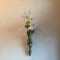 壁掛け仏壇「鏡壇ミラリエ」に今日（12/6）の誕生花の「ユーチャリス」を飾ってみました。