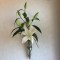 創価学会仏壇・SGI仏壇・壁掛け仏壇「鏡壇ミラリエ」に今日（12/21）の誕生花の「カサブランカ」を飾ってみました。