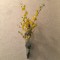 壁掛け仏壇「鏡壇ミラリエ」に今日（1/31）の誕生花の「オンシジューム」を飾ってみました。