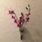 壁掛け仏壇「鏡壇ミラリエ」に今日（1/17）の誕生花の「デンファレ」を飾ってみました。