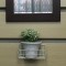 壁掛け仏壇「鏡壇ミラリエ」に今日（1/27）の誕生花の 「ユーフォルビア」の鉢植えを飾ってみました。