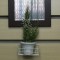 壁掛け仏壇「鏡壇ミラリエ」に今日（1/5）の誕生花の「エリカ」の鉢植えを飾ってみました。