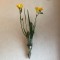 壁掛け仏壇「鏡壇ミラリエ」に今日（1/18）の誕生花の「黄色のフリージア」を飾ってみました。