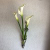 壁掛け仏壇「鏡壇ミラリエ」に今日（2/19）の誕生花の「白いカラー」を飾ってみました。