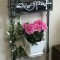 壁掛け仏壇「鏡壇ミラリエ」に今日（3/18）の誕生花の「アザレア」を飾ってみました。