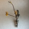 壁掛け仏壇「鏡壇ミラリエ」に今日（3/5）の誕生花の「ミツマタ（三椏）」を飾ってみました。