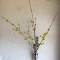 壁掛け仏壇「鏡壇ミラリエ」に今日（3/17）の誕生花の「サンシュユ（山茱萸）」を飾ってみました。