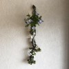 壁掛け仏壇「鏡壇ミラリエ」に今日（4/7）の誕生花の「ネモフィラ」を飾ってみました。