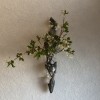 壁掛け仏壇「鏡壇ミラリエ」に今日（4/16）の誕生花の「ドウダンツツジ（灯台躑躅）」を飾ってみました。