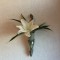 壁掛け仏壇「鏡壇ミラリエ」に今日（5/9）の誕生花の「カサブランカ」を飾ってみました。