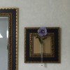 壁掛け仏壇「鏡壇ミラリエ」に今日（7/21）の誕生花の「ムクゲ（木槿）」を飾ってみました。
