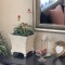 壁掛け仏壇「鏡壇ミラリエ」に今日（8/14）の誕生花の「センニチコウ（千日紅）」を飾ってみました。