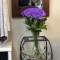壁掛け仏壇「鏡壇ミラリエ」に今日（9/26）の誕生花の「紫のバラ（薔薇）」を飾ってみました。