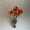 壁掛け仏壇「鏡壇ミラリエ」に今日（10/8）の誕生花の「橙色のガーベラ」を飾ってみました。