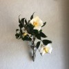 壁掛け仏壇「鏡壇ミラリエ」に今日（12/21）の誕生花の「白いツバキ（椿）」を飾ってみました。