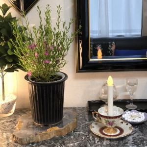 壁掛け仏壇「鏡壇ミラリエ」に今日（12/7）の誕生花の「サザンクロス」を飾ってみました。