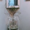 壁掛け仏壇「鏡壇ミラリエ」に今日（3/11）の誕生花の「ユキヤナギ（雪柳）」を飾ってみました。