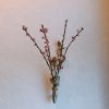 壁掛け仏壇「鏡壇ミラリエ」に今日（3/3）の誕生花の「モモ（桃）」を飾ってみました。