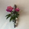 壁掛け仏壇「鏡壇ミラリエ」に今日（7/24）の誕生花の「シャクヤク（芍薬）」を飾ってみました。