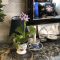 壁掛け仏壇「鏡壇ミラリエ」に今日（8/5）の誕生花の「ホテイアオイ（布袋葵）」を飾ってみました。