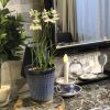 壁掛け仏壇「鏡壇ミラリエ」に今日（8/21）の誕生花の「サギソウ（鷺草）」を飾ってみました。
