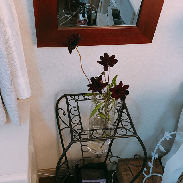 壁掛け仏壇「鏡壇ミラリエ」に今日（10/27）の誕生花の「チョコレートコスモス」を飾ってみました。