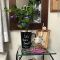 壁掛け仏壇「鏡壇ミラリエ」に今日（11/16）の誕生花の「ツルニチニチソウ（ビンカ／蔓日々草）」を飾ってみました。
