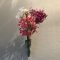 壁掛け仏壇「鏡壇ミラリエ」に今日（11/24）の誕生花の「ネリネ（ダイヤモンドリリー／姫彼岸花）」を飾ってみました。