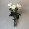 壁掛け仏壇「鏡壇ミラリエ」に今日（12/11）の誕生花の「白いバラ（薔薇）」を飾ってみました。