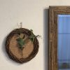 壁掛け仏壇「鏡壇ミラリエ」に今日（2/10）の誕生花の「エンドウ（豌豆）」を飾ってみました。
