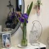 壁掛け仏壇「鏡壇ミラリエ」に今日（5/12）の誕生花の「アヤメ（綾目・文目・菖蒲））」を飾ってみました。