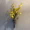 壁掛け仏壇「鏡壇ミラリエ」に今日（6/20）の誕生花の「オンシジューム（群雀蘭）」を飾ってみました。