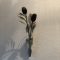 壁掛け仏壇「鏡壇ミラリエ」に今日（8/10）の誕生花の「リューカデンドロン（銀葉樹）」を飾ってみました。