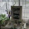 壁掛け仏壇「鏡壇ミラリエ」に今日（11/26）の誕生花の「グラジオラス（唐菖蒲）」を飾ってみました。