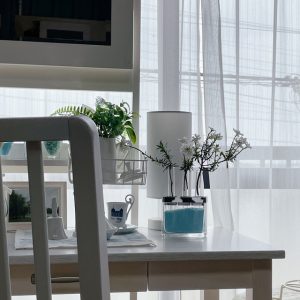 壁掛け仏壇「鏡壇ミラリエ」に今日（12/28）の誕生花の「イベリス（歪り花）」を飾ってみました。