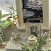 壁掛け仏壇「鏡壇ミラリエ」に今日（12/24）の誕生花の「クリスマスベル（サンダーゾニア）」を飾ってみました。