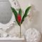 壁掛け仏壇「鏡壇ミラリエ」に今日（8/16）の誕生花の「レッドジンジャー（赤穂月桃）」 を飾ってみました。